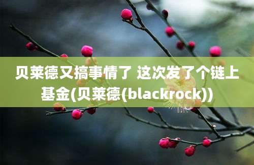 贝莱德又搞事情了 这次发了个链上基金(贝莱德(blackrock))