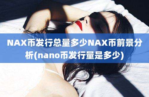 NAX币发行总量多少NAX币前景分析(nano币发行量是多少)