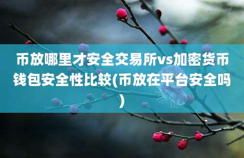 币放哪里才安全交易所vs加密货币钱包安全性比较(币放在平台安全吗)