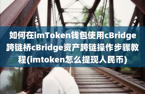 如何在imToken钱包使用cBridge跨链桥cBridge资产跨链操作步骤教程(imtoken怎么提现人民币)