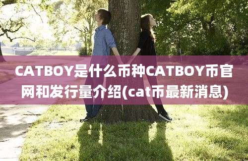 CATBOY是什么币种CATBOY币官网和发行量介绍(cat币最新消息)