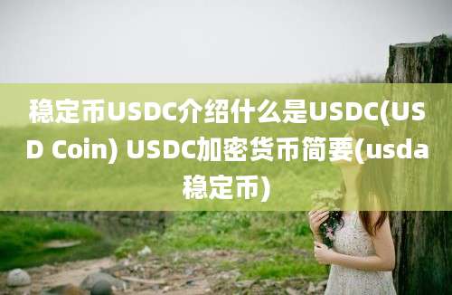 稳定币USDC介绍什么是USDC(USD Coin) USDC加密货币简要(usda稳定币)