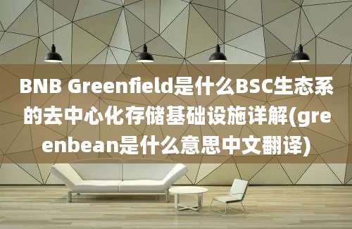 BNB Greenfield是什么BSC生态系的去中心化存储基础设施详解(greenbean是什么意思中文翻译)