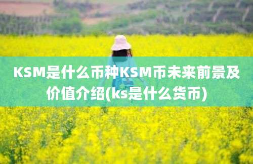 KSM是什么币种KSM币未来前景及价值介绍(ks是什么货币)