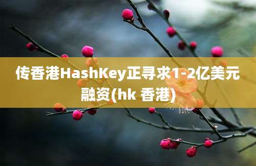 传香港HashKey正寻求1-2亿美元融资(hk 香港)