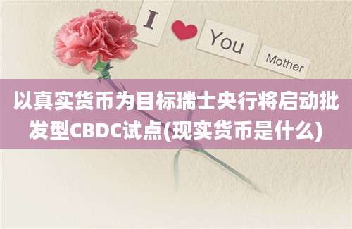 以真实货币为目标瑞士央行将启动批发型CBDC试点(现实货币是什么)