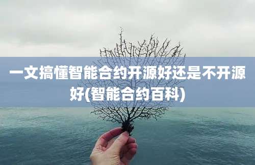 一文搞懂智能合约开源好还是不开源好(智能合约百科)