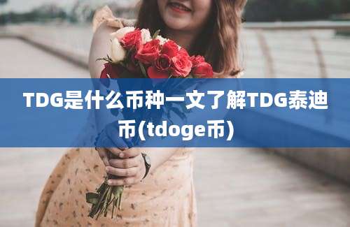 TDG是什么币种一文了解TDG泰迪币(tdoge币)