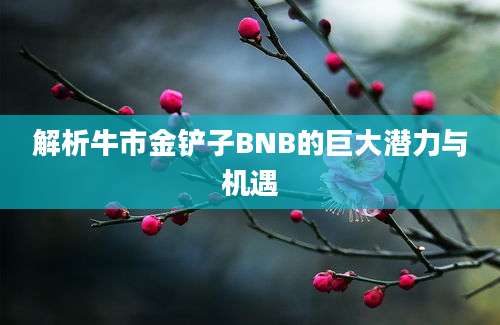 解析牛市金铲子BNB的巨大潜力与机遇