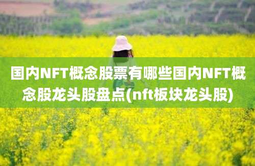 国内NFT概念股票有哪些国内NFT概念股龙头股盘点(nft板块龙头股)