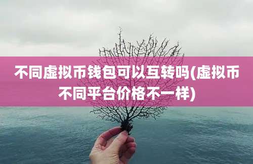 不同虚拟币钱包可以互转吗(虚拟币不同平台价格不一样)