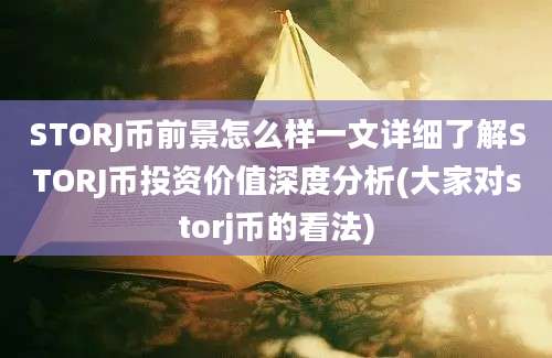 STORJ币前景怎么样一文详细了解STORJ币投资价值深度分析(大家对storj币的看法)