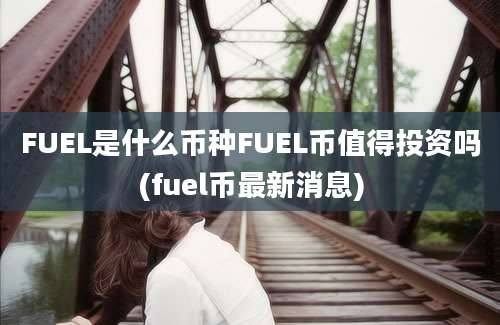 FUEL是什么币种FUEL币值得投资吗(fuel币最新消息)