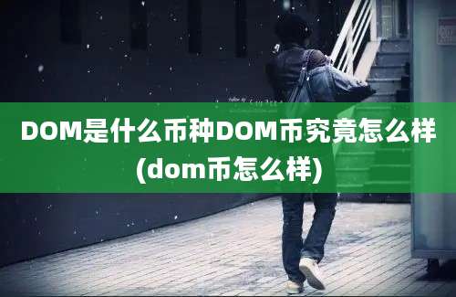 DOM是什么币种DOM币究竟怎么样(dom币怎么样)