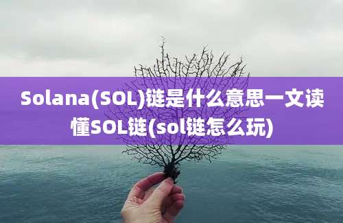 Solana(SOL)链是什么意思一文读懂SOL链(sol链怎么玩)