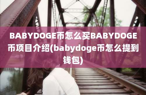 BABYDOGE币怎么买BABYDOGE币项目介绍(babydoge币怎么提到钱包)