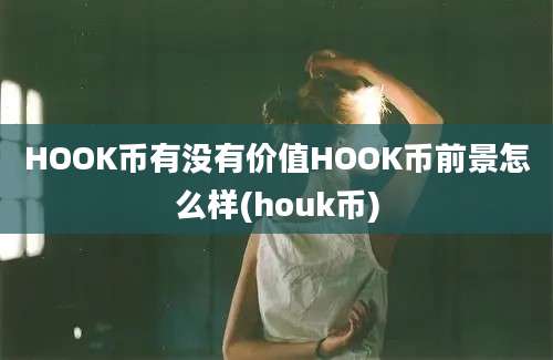 HOOK币有没有价值HOOK币前景怎么样(houk币)