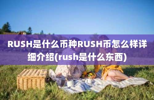 RUSH是什么币种RUSH币怎么样详细介绍(rush是什么东西)