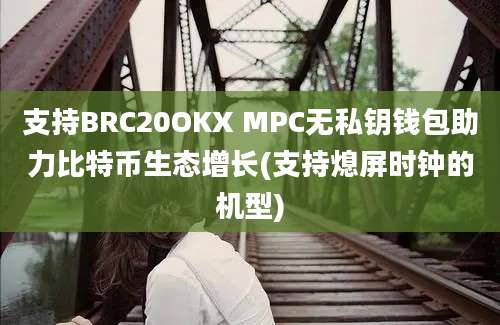 支持BRC20OKX MPC无私钥钱包助力比特币生态增长(支持熄屏时钟的机型)