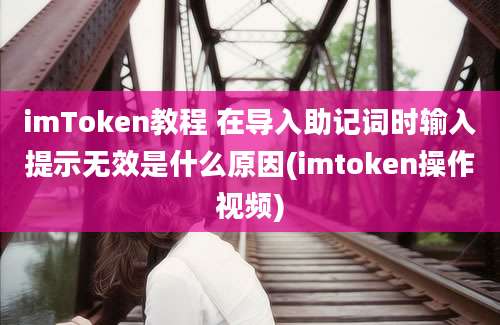 imToken教程 在导入助记词时输入提示无效是什么原因(imtoken操作视频)