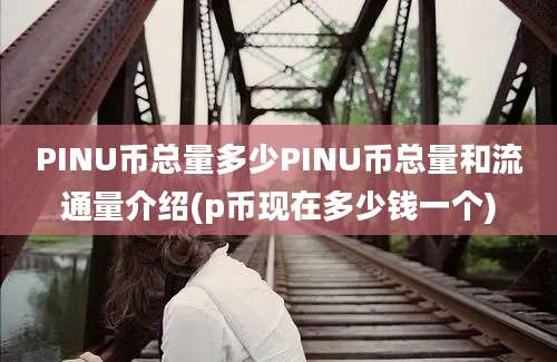 PINU币总量多少PINU币总量和流通量介绍(p币现在多少钱一个)