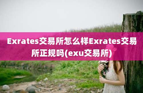 Exrates交易所怎么样Exrates交易所正规吗(exu交易所)