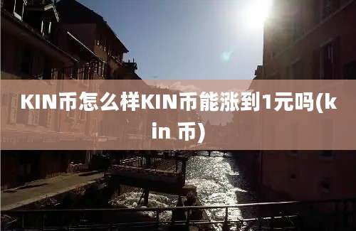 KIN币怎么样KIN币能涨到1元吗(kin 币)