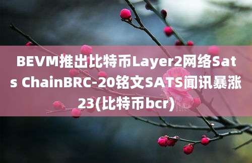 BEVM推出比特币Layer2网络Sats ChainBRC-20铭文SATS闻讯暴涨23(比特币bcr)