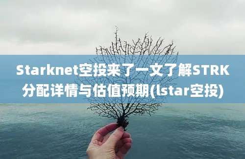 Starknet空投来了一文了解STRK分配详情与估值预期(lstar空投)