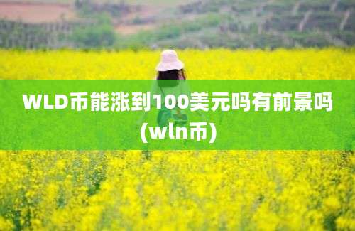 WLD币能涨到100美元吗有前景吗(wln币)