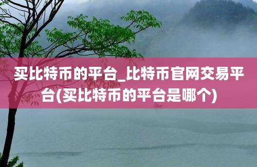 买比特币的平台_比特币官网交易平台(买比特币的平台是哪个)