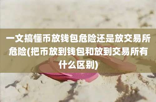 一文搞懂币放钱包危险还是放交易所危险(把币放到钱包和放到交易所有什么区别)