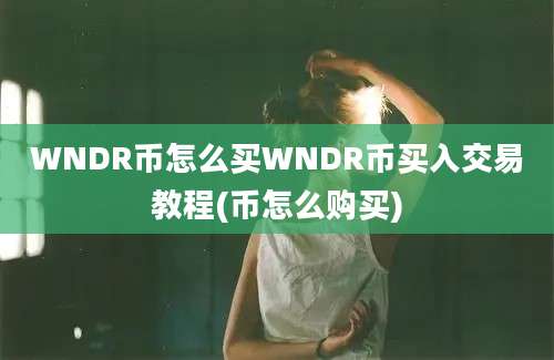 WNDR币怎么买WNDR币买入交易教程(币怎么购买)