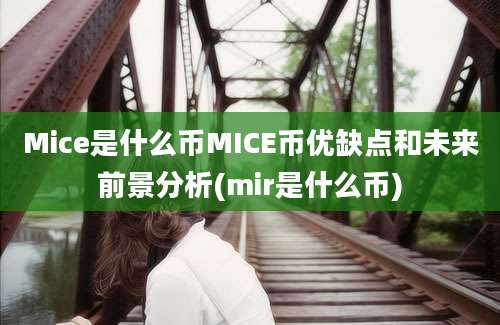 Mice是什么币MICE币优缺点和未来前景分析(mir是什么币)