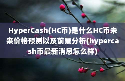 HyperCash(HC币)是什么HC币未来价格预测以及前景分析(hypercash币最新消息怎么样)