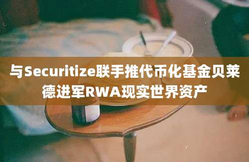 与Securitize联手推代币化基金贝莱德进军RWA现实世界资产