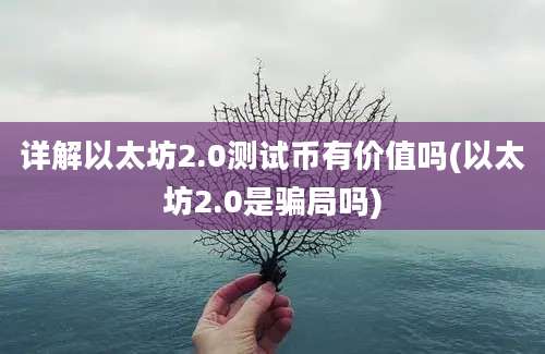 详解以太坊2.0测试币有价值吗(以太坊2.0是骗局吗)