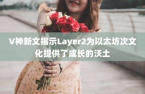 V神新文揭示Layer2为以太坊次文化提供了成长的沃土