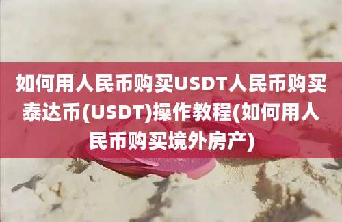 如何用人民币购买USDT人民币购买泰达币(USDT)操作教程(如何用人民币购买境外房产)