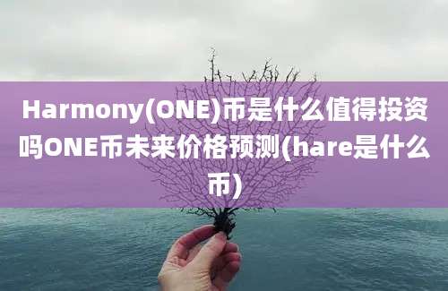 Harmony(ONE)币是什么值得投资吗ONE币未来价格预测(hare是什么币)