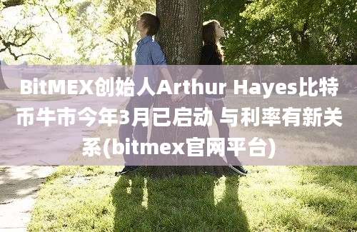 BitMEX创始人Arthur Hayes比特币牛市今年3月已启动 与利率有新关系(bitmex官网平台)