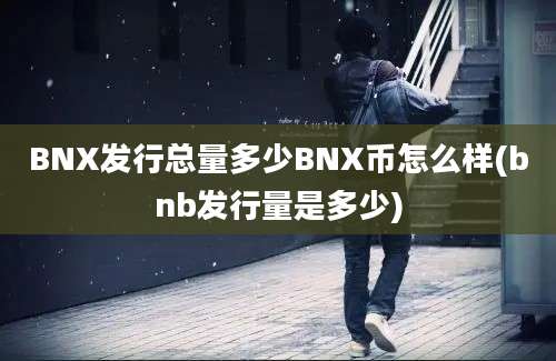 BNX发行总量多少BNX币怎么样(bnb发行量是多少)