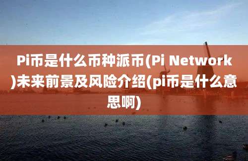 Pi币是什么币种派币(Pi Network)未来前景及风险介绍(pi币是什么意思啊)