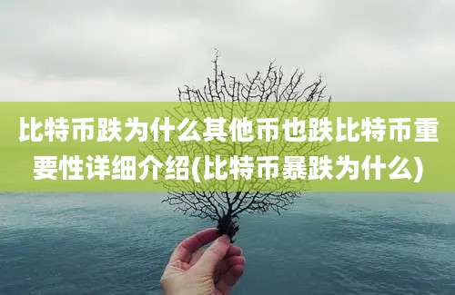 比特币跌为什么其他币也跌比特币重要性详细介绍(比特币暴跌为什么)