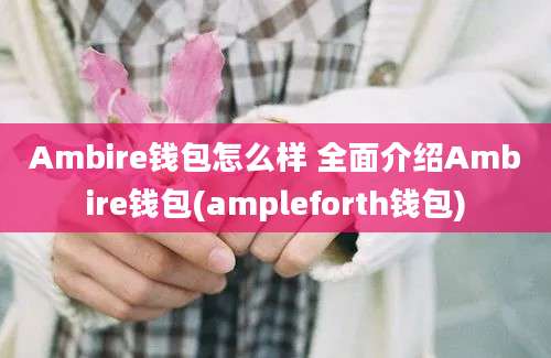 Ambire钱包怎么样 全面介绍Ambire钱包(ampleforth钱包)