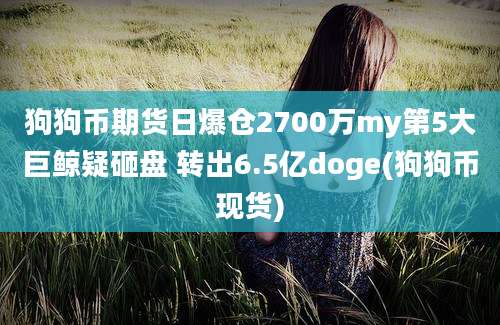 狗狗币期货日爆仓2700万my第5大巨鲸疑砸盘 转出6.5亿doge(狗狗币现货)