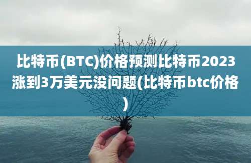 比特币(BTC)价格预测比特币2023涨到3万美元没问题(比特币btc价格)