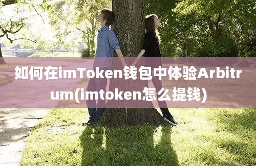 如何在imToken钱包中体验Arbitrum(imtoken怎么提钱)