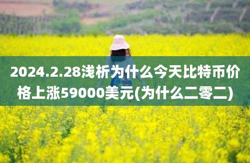 2024.2.28浅析为什么今天比特币价格上涨59000美元(为什么二零二)