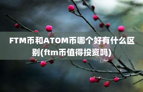 FTM币和ATOM币哪个好有什么区别(ftm币值得投资吗)